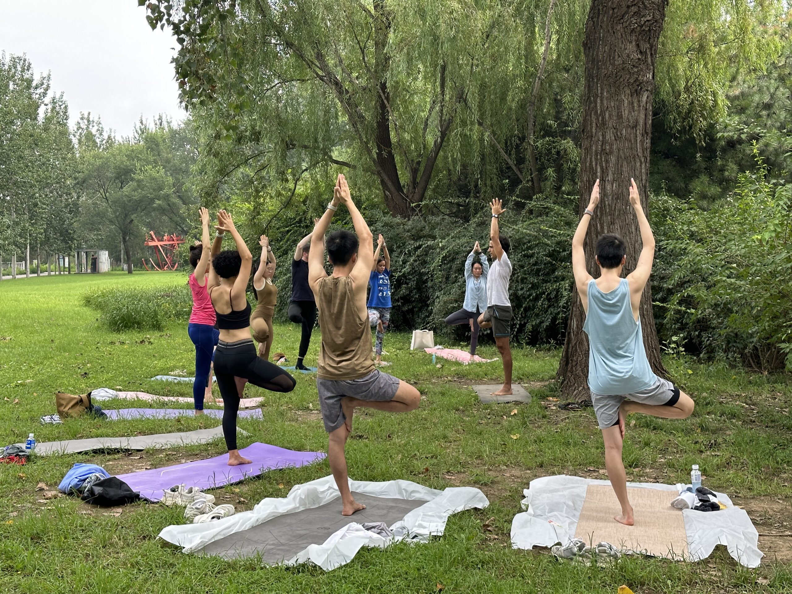 Yoga practitioner in a peaceful studio
